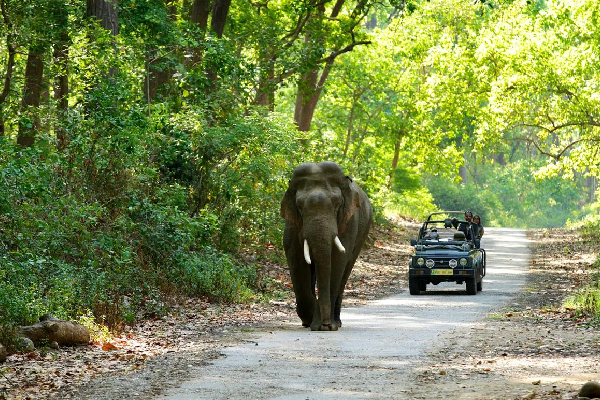 Jim Corbett